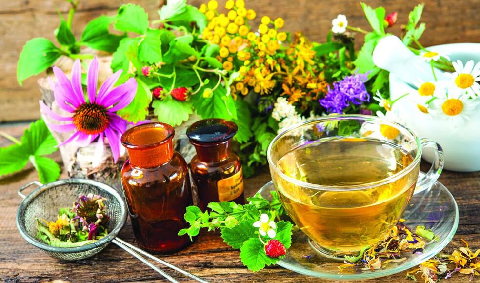 Phytotherapie, um ein Mitglied zu erhöhen