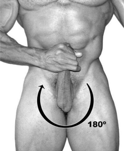 Rotation des Penis, um ihn zu erhöhen